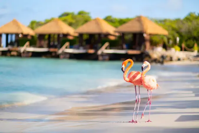 img-paquetes-aruba