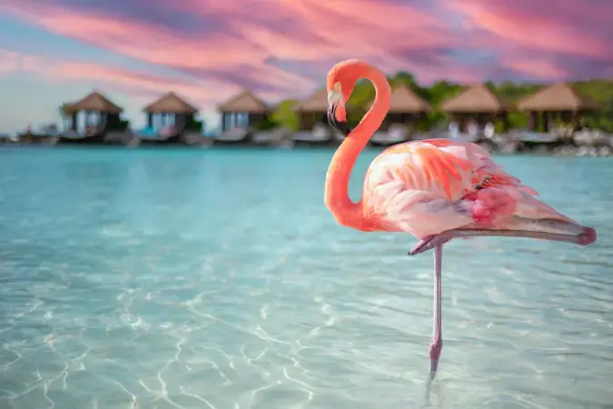 img-hoteles-aruba
